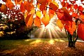 Podzimní a adventní akce ve Veleni a v Mírovicích